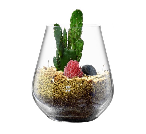 Glass vase succulent - vase,
