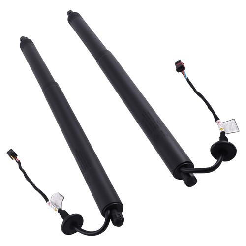 Rear electric tailgate gas - rear,
