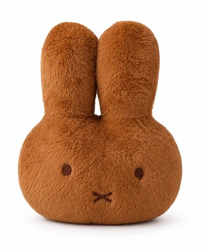 Kawaii graduation gift - graduation, pillow