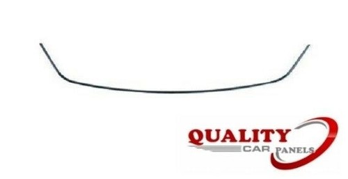 Front bumper lower - front,