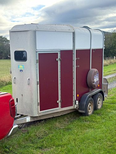 Ifor williams hb505 - williams, horse