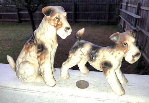 Vintage fox terrier - vintage,