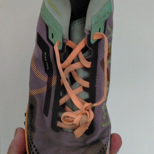 Nike pegasus trail gore - pegasus, 3