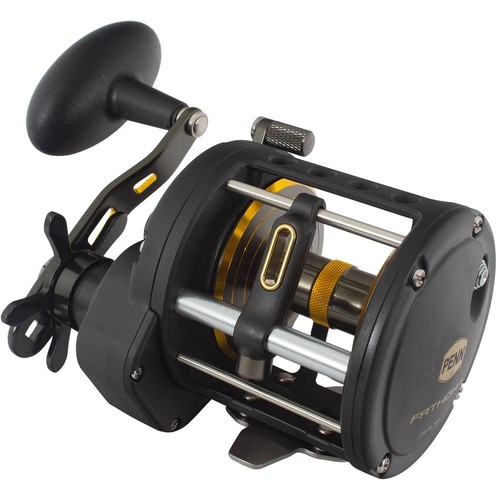 Penn fathom 30lw - fathom,