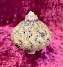 A Superb Geoffrey Swindell Handmade Unique Pottery Vase / Sculpture. 4”