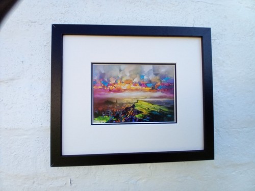 Scott naismith framed art - ,