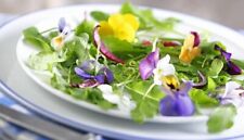 Special mixture of edible flowers and herbs seeds 10g +FREE REUSABLE PLANT LABEL