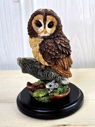 Country artists tawny owl - country,
