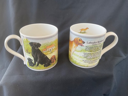 Labrador retriever mugs - labrador,