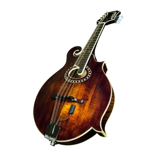 Baggs radius mandolin pick - radius,