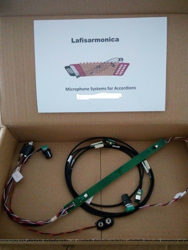 Internal microphone system - internal,