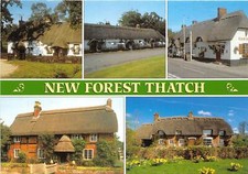 uk47064 new forest thatch uk
