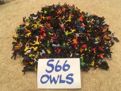 New football fans - 55, for