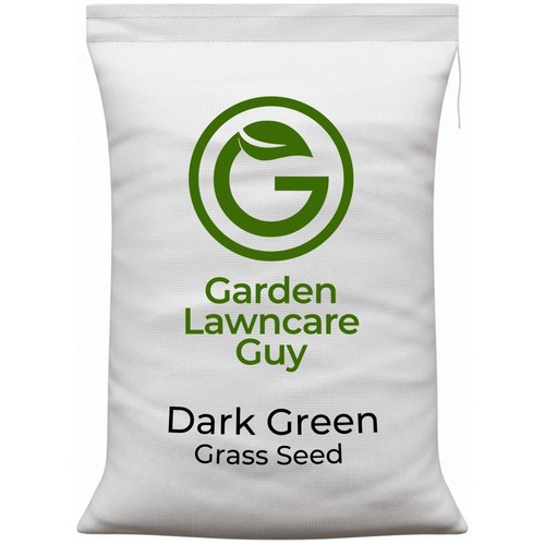 Dark green grass seed - green,