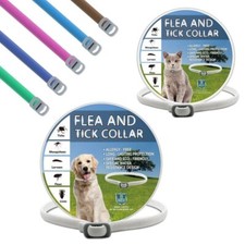 8 Month Protection Flea And