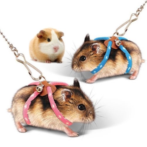 Adjustable harness leash - adjustable,