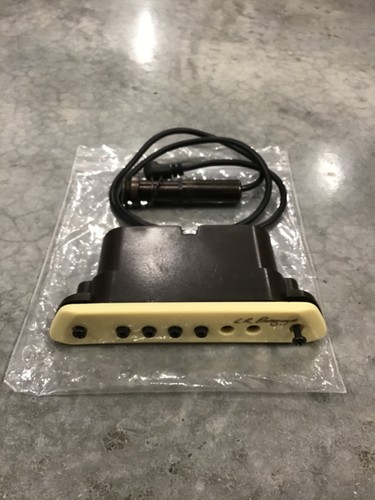 Baggs active acoustic - baggs,