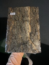 Natural Cork Tile Background