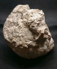 4290ct Massive  Unopened Natural Australian Huge Geode Gamble Thunderegg Mineral