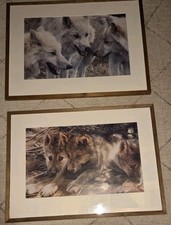  2x  CARL BRENDERS FOX / DOG