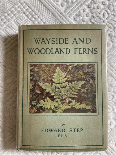 Wayside woodland ferns - &woodland,