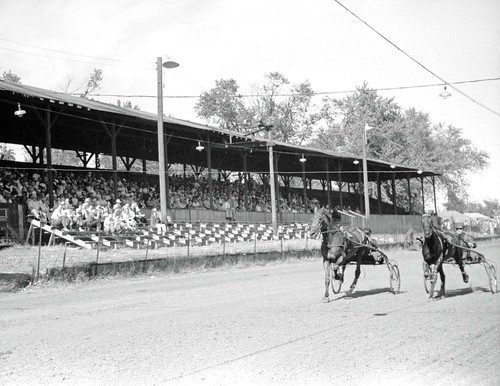 1939 sulky race - 1939, club