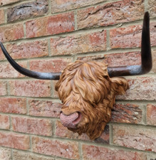 Wall Mounted Highland Cow Head