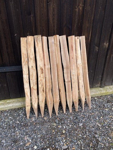Sweet chestnut stakes for - sweet,