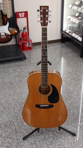 Morris vintage acoustic - vintage,