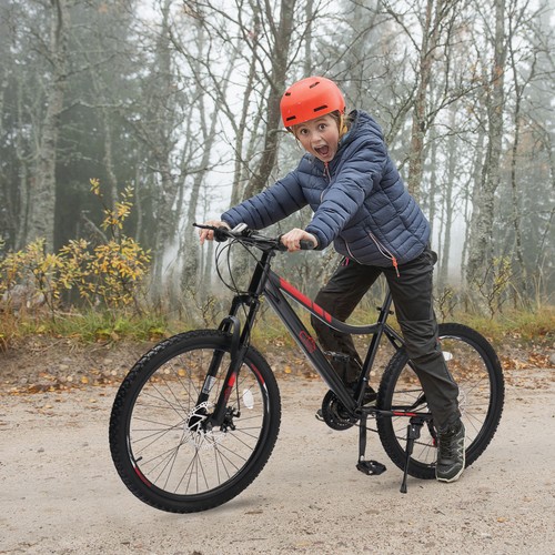 Inch mountain bike - 24,