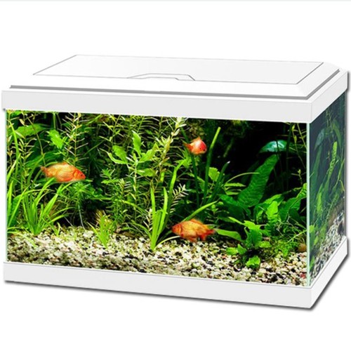 Ciano aqua aquarium - ciano, 30