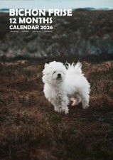 Bichon Frise 2026 Calendars