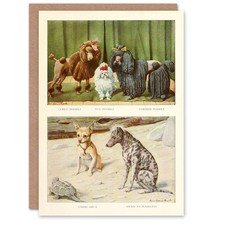 Book dogs art card - art, poodles