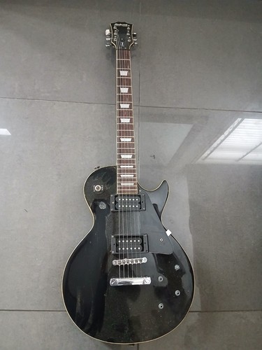 Honer rockwood lx250g guitar - lx250g,