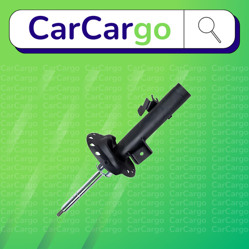 Front left shock absorber - shock, fits