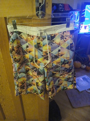 Mens swimming shorts - swimming, lined