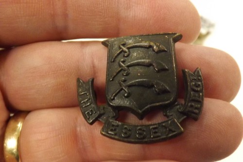 Military badge the essex - the,