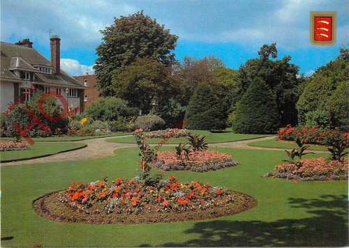 Picture postcard - picture,