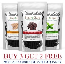 100 Jumbo Charcoal Incense