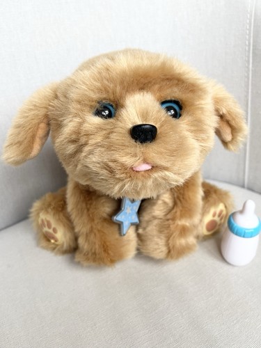 Little live pets - pets, my