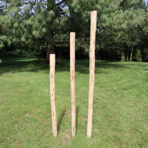 Rustic hazel hurdle fence - rustic,