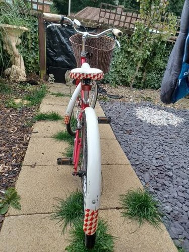 Ladies pendleton bike - ladies,