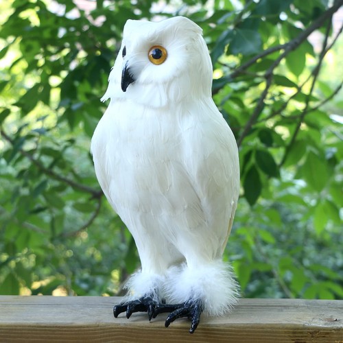 Realistic feathered owl - feathered,