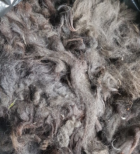 Alpaca fleece bird nesting - alpaca,