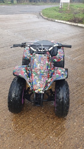 Suzuki 1999 girls quad - suzuki,