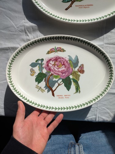 Oval platter portmeirion - 13”,
