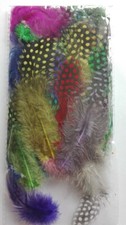 PACK OF GUINEA FOWL FEATHERS - FLY TYING - CRAFTS ETC - CHOICE OF COLOURS