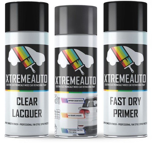 Aerosol spray paint - paint, for