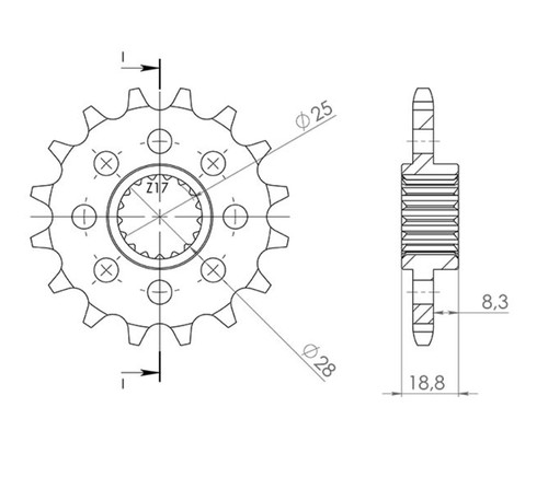 Sprocket passo 520 teeth - teeth, 15