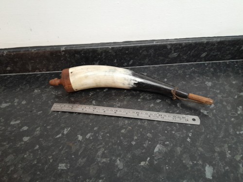 Drinking horn natural cow - ,